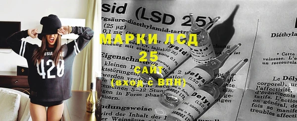 PSILOCYBIN Алзамай