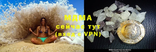 PSILOCYBIN Алзамай