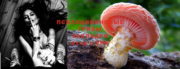 spice Алексин
