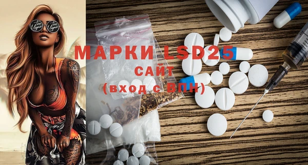 PSILOCYBIN Алзамай
